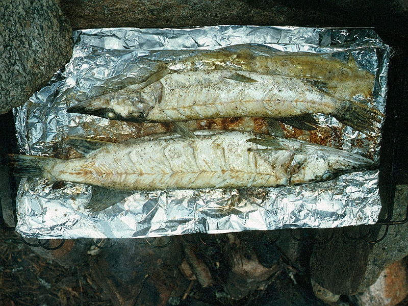 1979_Dia025_B.jpg - 1979, Dalsland, Gebiet: Foxen, Stora Le, Lelång - Zubereitung auf dem Grill