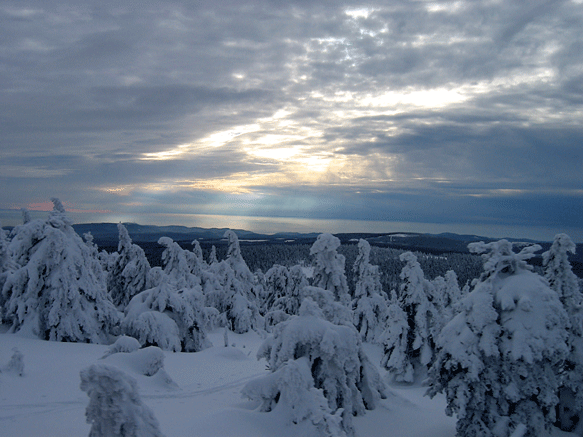 Blick-vom-Brocken,-Harz