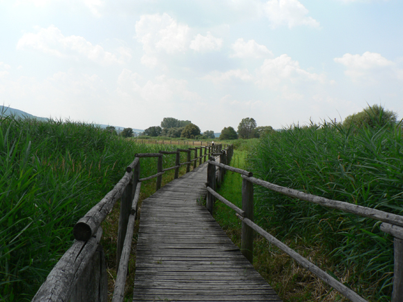 Werraradweg bei Gerstungen