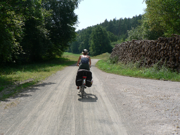 Durch den Walldorfer Wald