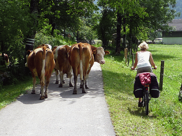 Khe auf dem Radweg