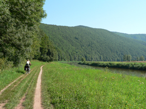 Werra Radweg hinter Werleshausen