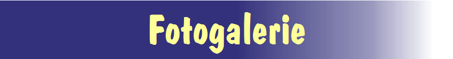 Fotogalerie