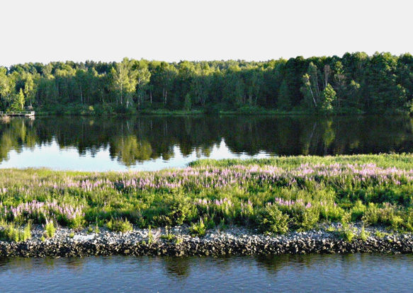 Seelandschaft am Moskau-Wolga- Kanal