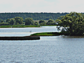 Ufer des Uglitsch Stausee