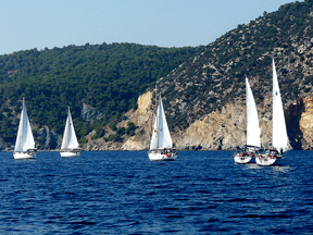 Die Flotte nach dem Start