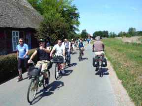 Radweg auf dem Wmmedeich